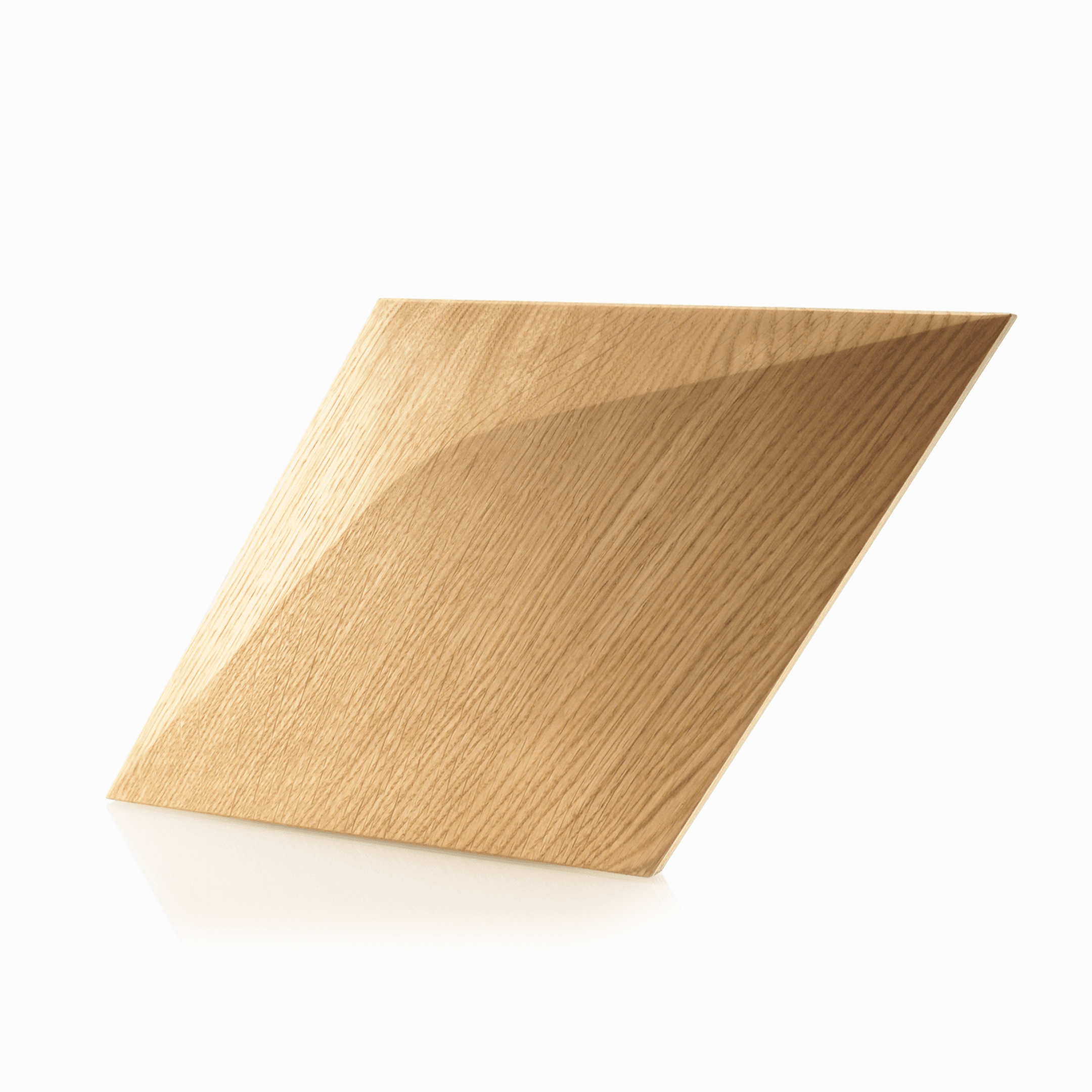 Caro Minus 3D Paneel Render Showcase 2