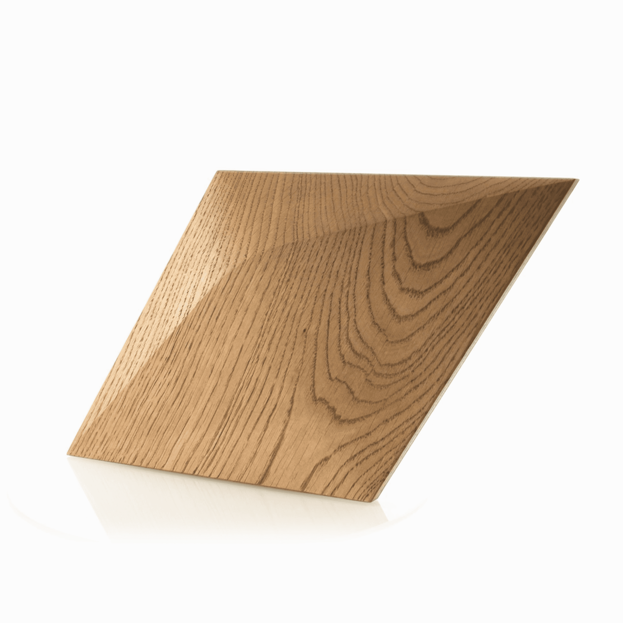 Caro Minus 3D Paneel Render Showcase 3