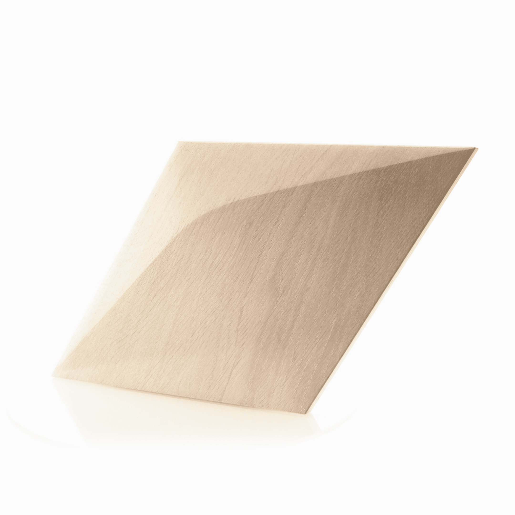 Caro Minus 3D Paneel Render Showcase 25