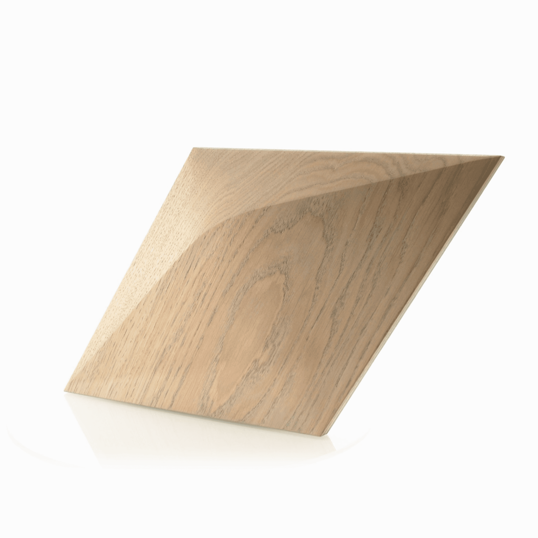 Caro Minus 3D Paneel Render Showcase 26